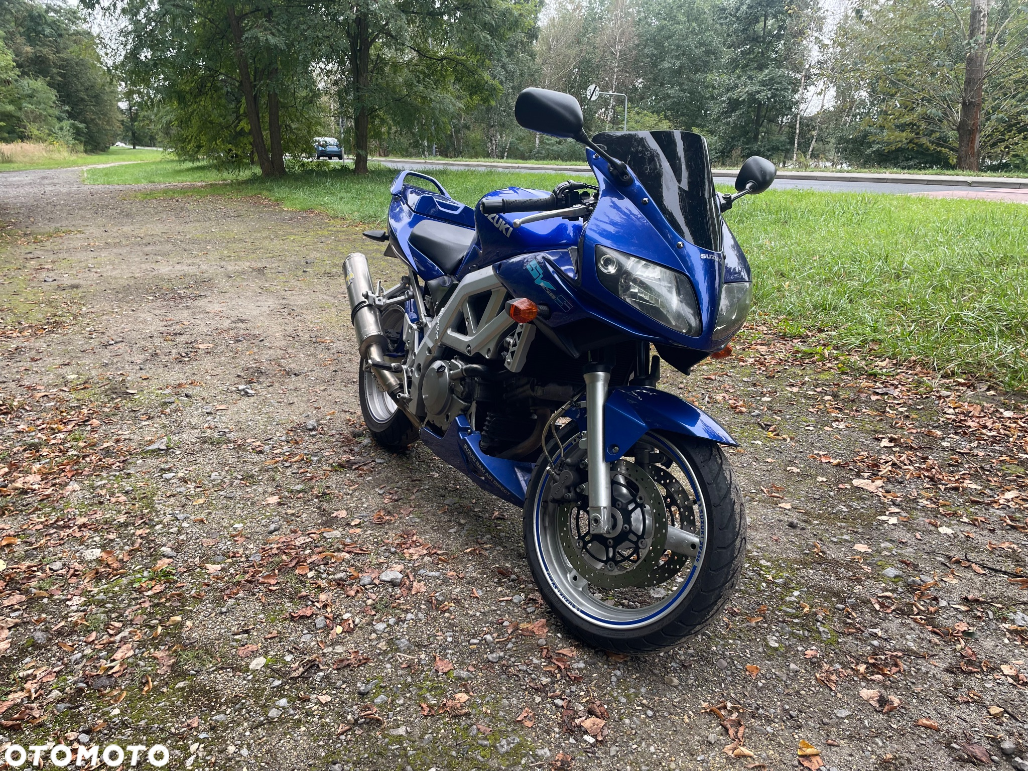 Suzuki SV - 4