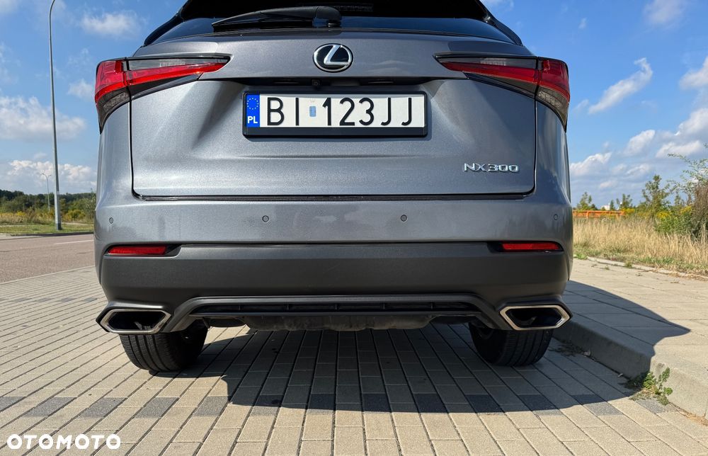Lexus NX 300 - 24
