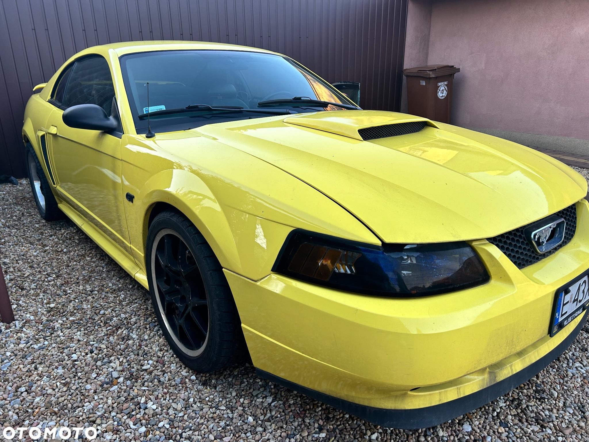 Ford Mustang - 2
