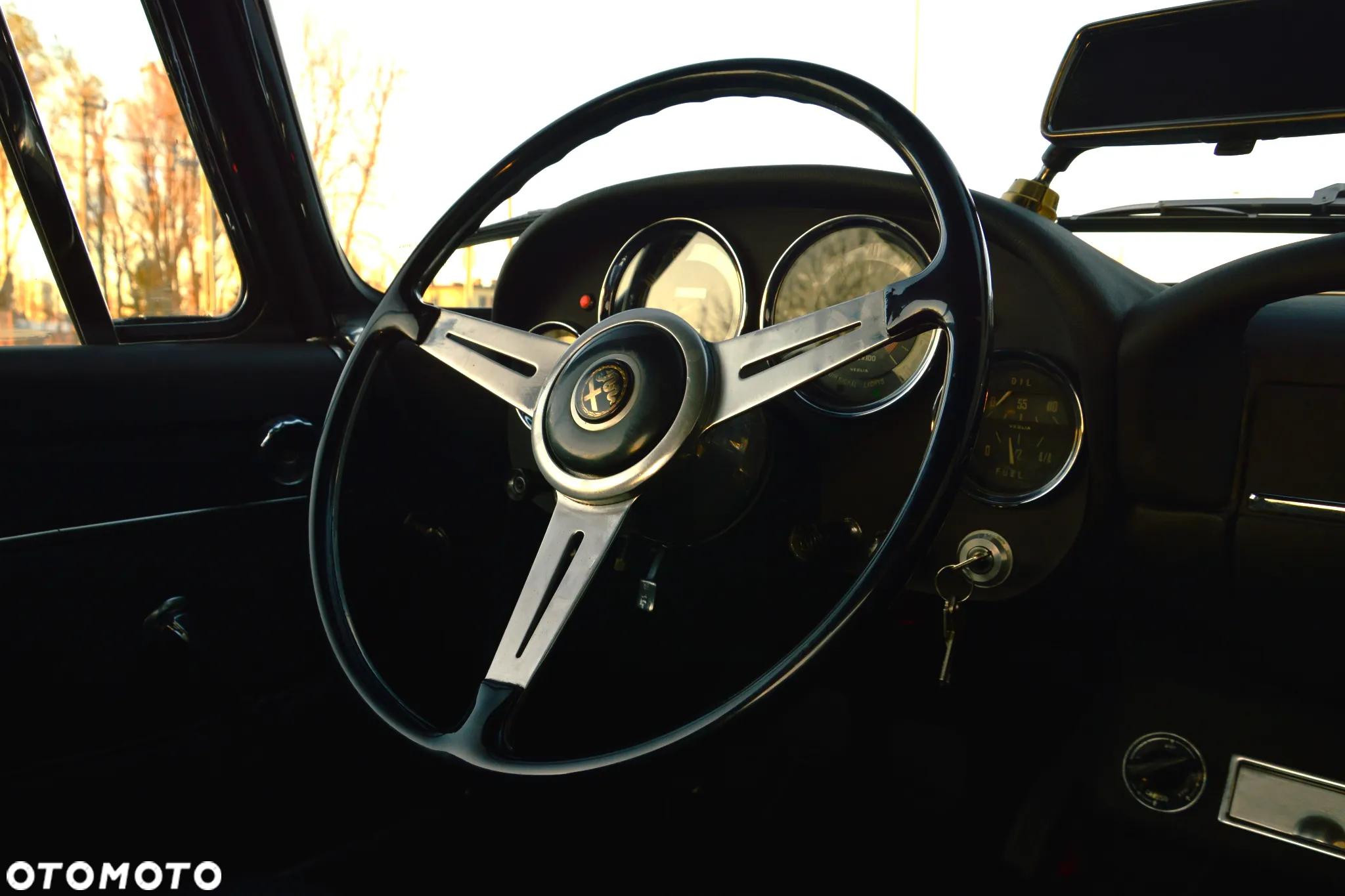 Alfa Romeo Inny - 31