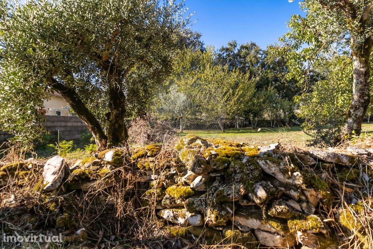 Terreno  para venda - Grande imagem: 5/20