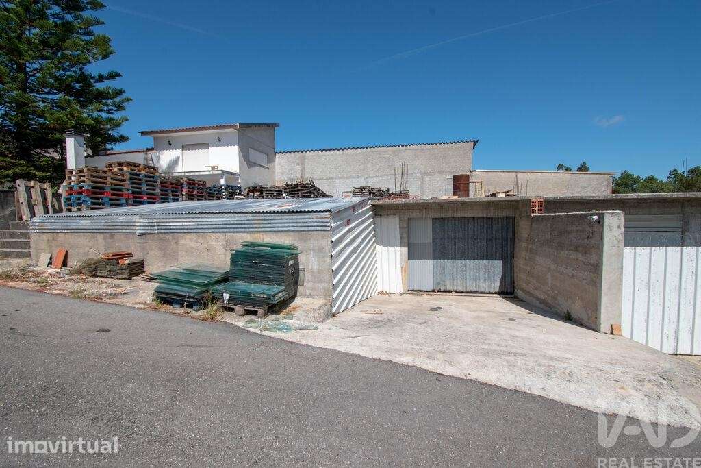 Terreno Agrícola em Marinha Grande - Grande imagem: 2/6