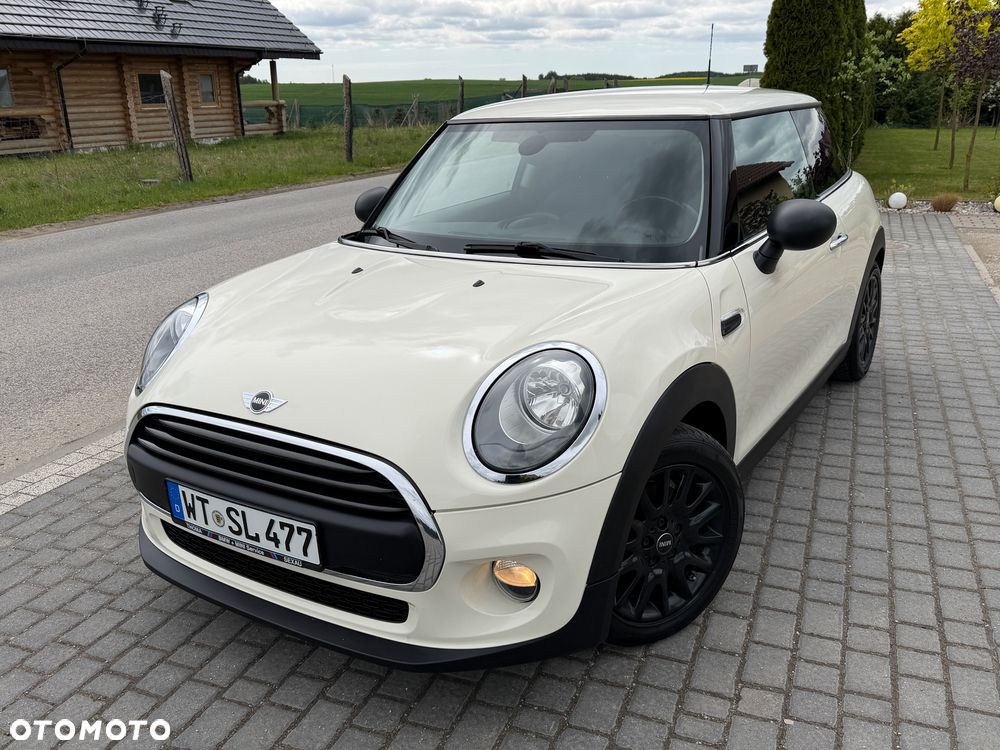 MINI ONE Blackyard - 24