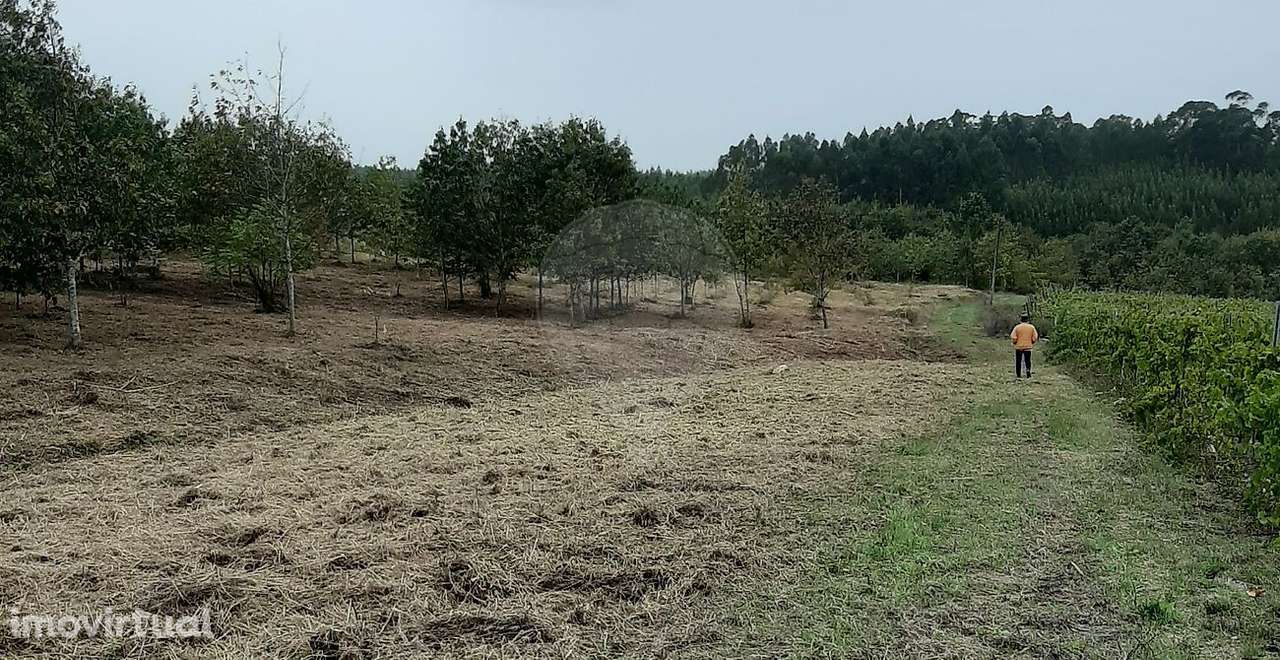 Terreno  para venda - Grande imagem: 2/15