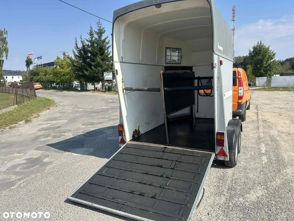 Brenderup 2000 kg do transportu koni 2 konna - 21