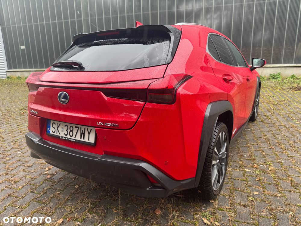 Lexus UX 250h GPF Business Edition 2WD - 12