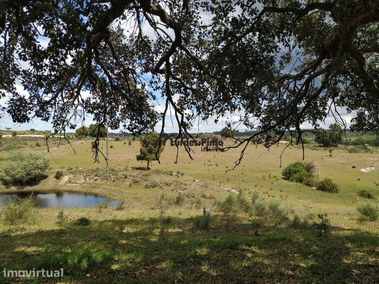 Terreno com 30.370 m2 em Castelo Branco - Grande imagem: 2/7
