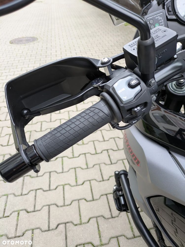 Suzuki DL - 10