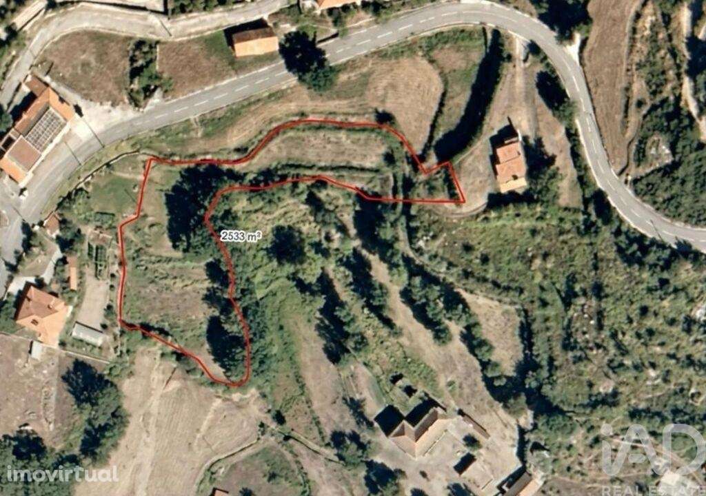 Terreno em Infesta - Grande imagem: 2/7