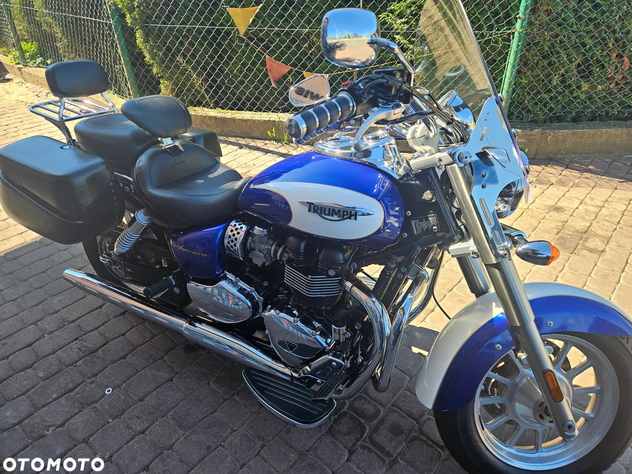 Triumph Speedmaster - 31