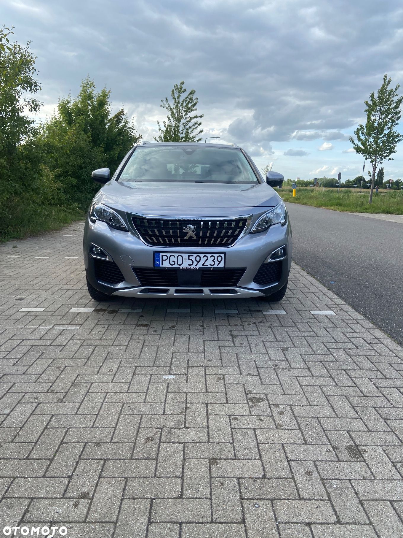 Peugeot 3008 1.2 PureTech GPF Active S&S EAT8 - 1