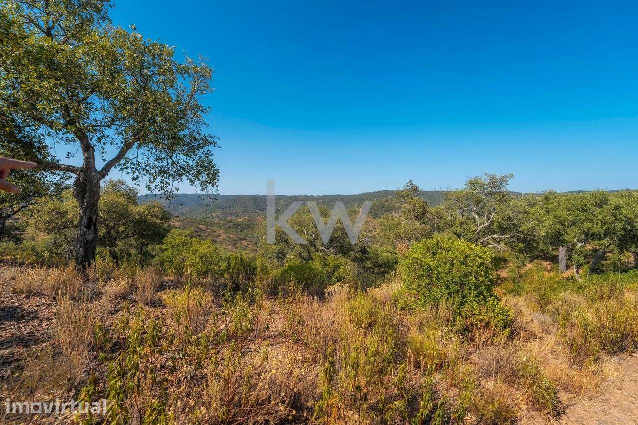 Terreno com 9700 m2 em Cepo, Querença, produção de cortiça e medronhos - Grande imagem: 4/29