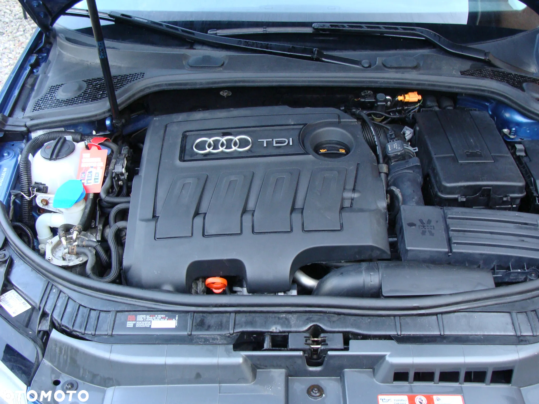 Audi A3 1.6 TDI DPF Ambition - 16