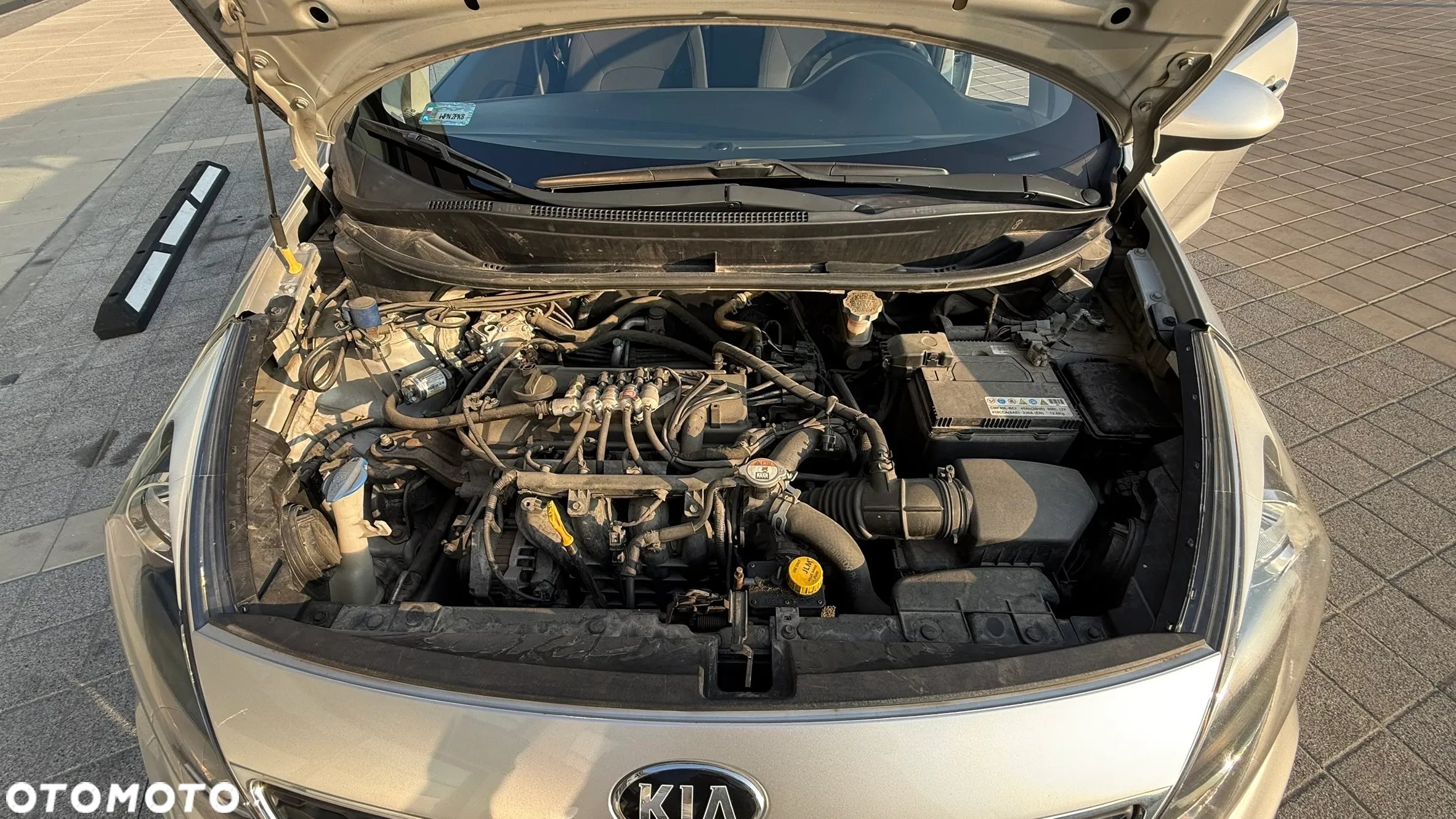 Kia Rio - 19