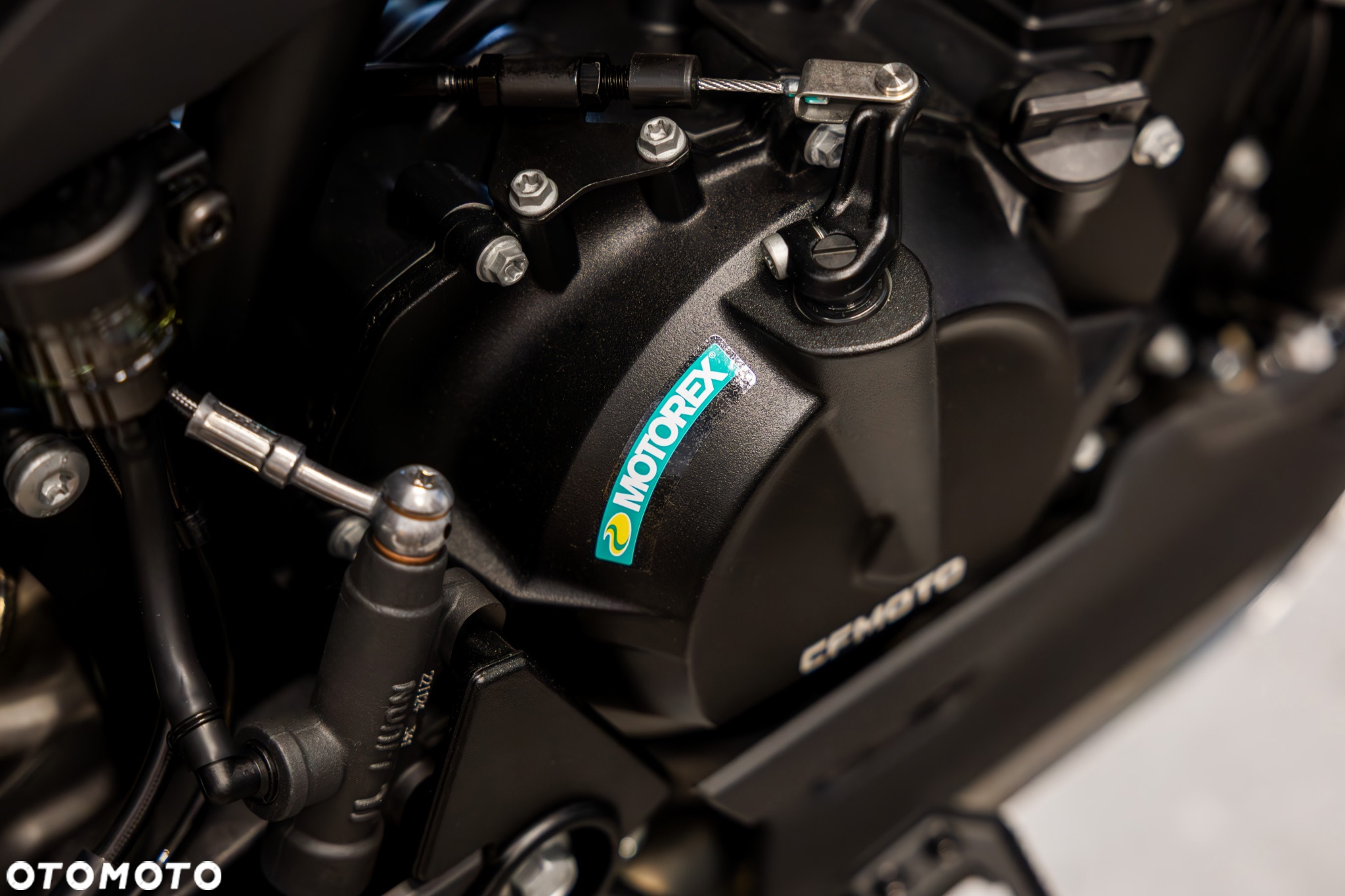 CFMoto MT - 10