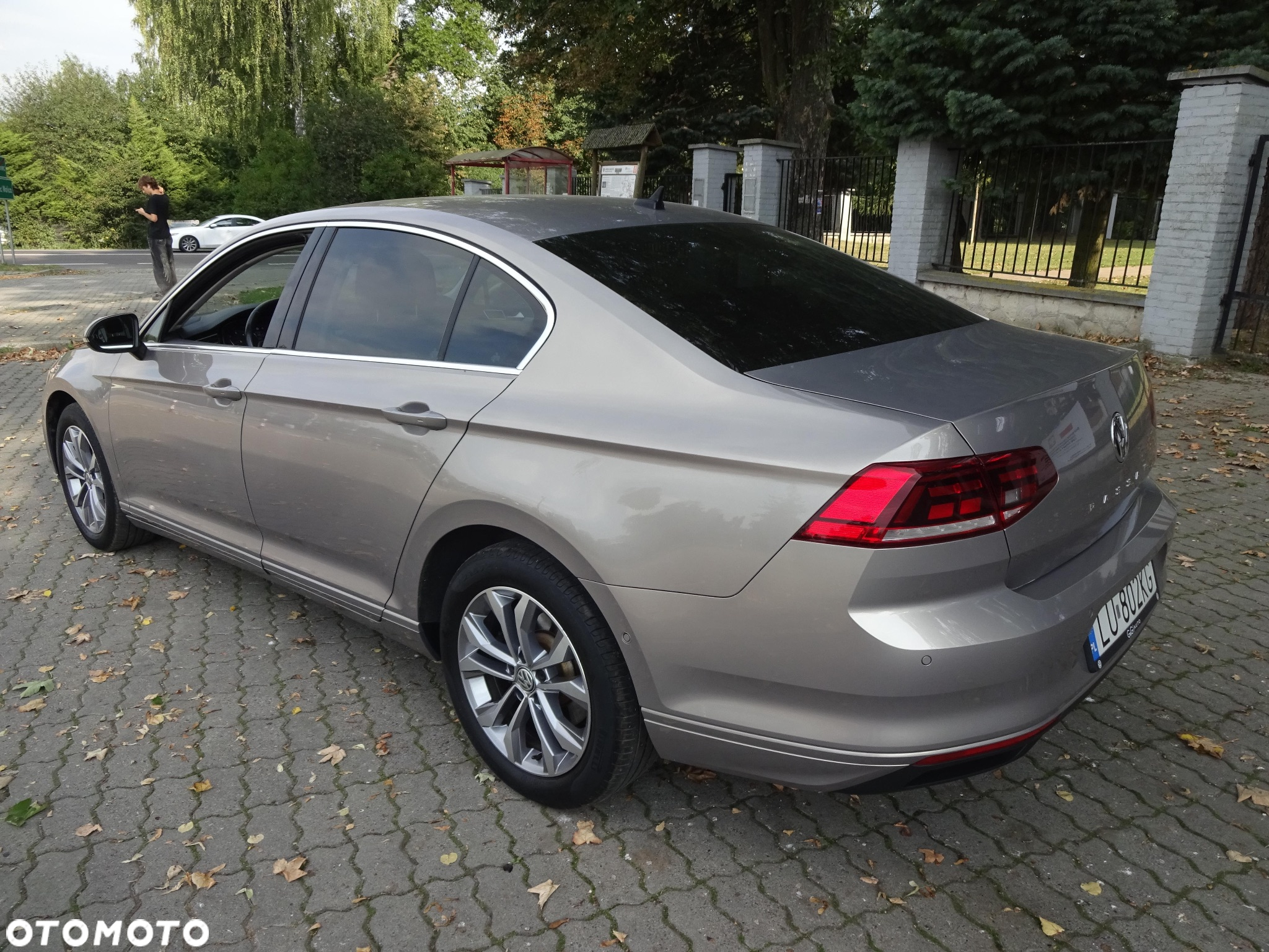 Volkswagen Passat 2.0 TDI EVO Business - 2
