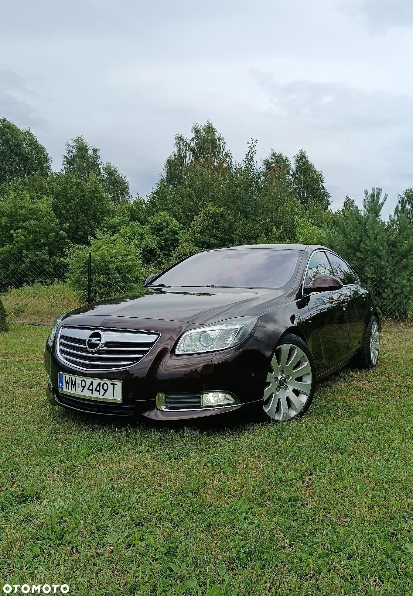 Opel Insignia 2.0 CDTI ecoFLEX Edition - 1