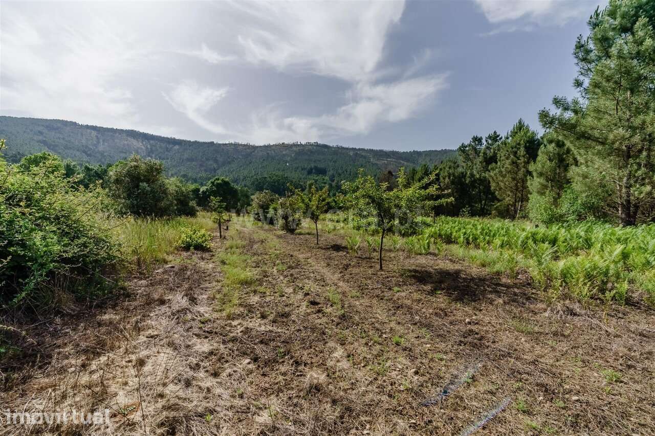 Terreno / Covilhã, Paul - Grande imagem: 4/19