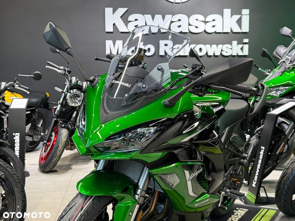 Kawasaki Ninja - 12