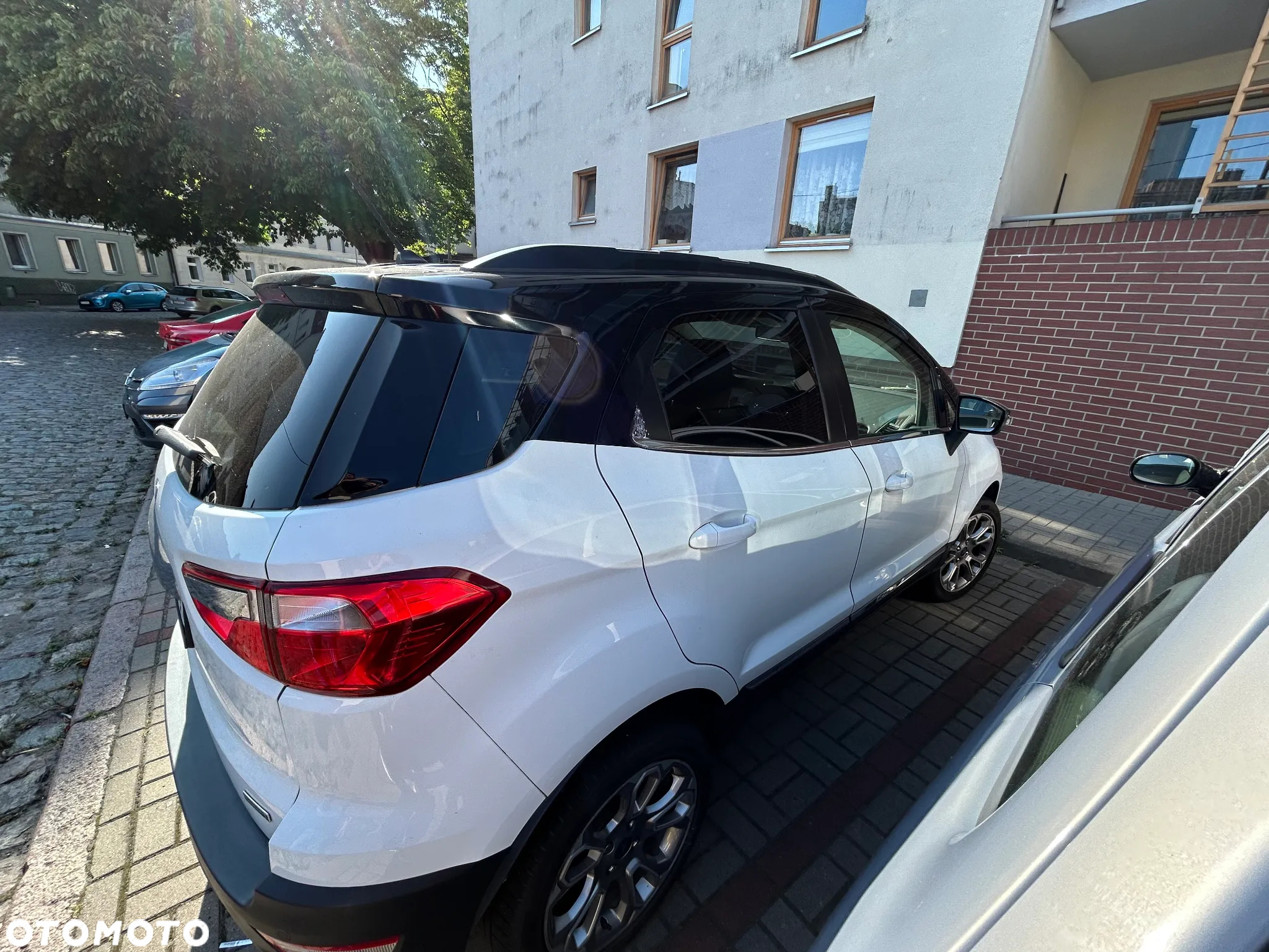 Ford EcoSport 1.0 EcoBoost GPF Active ASS - 8