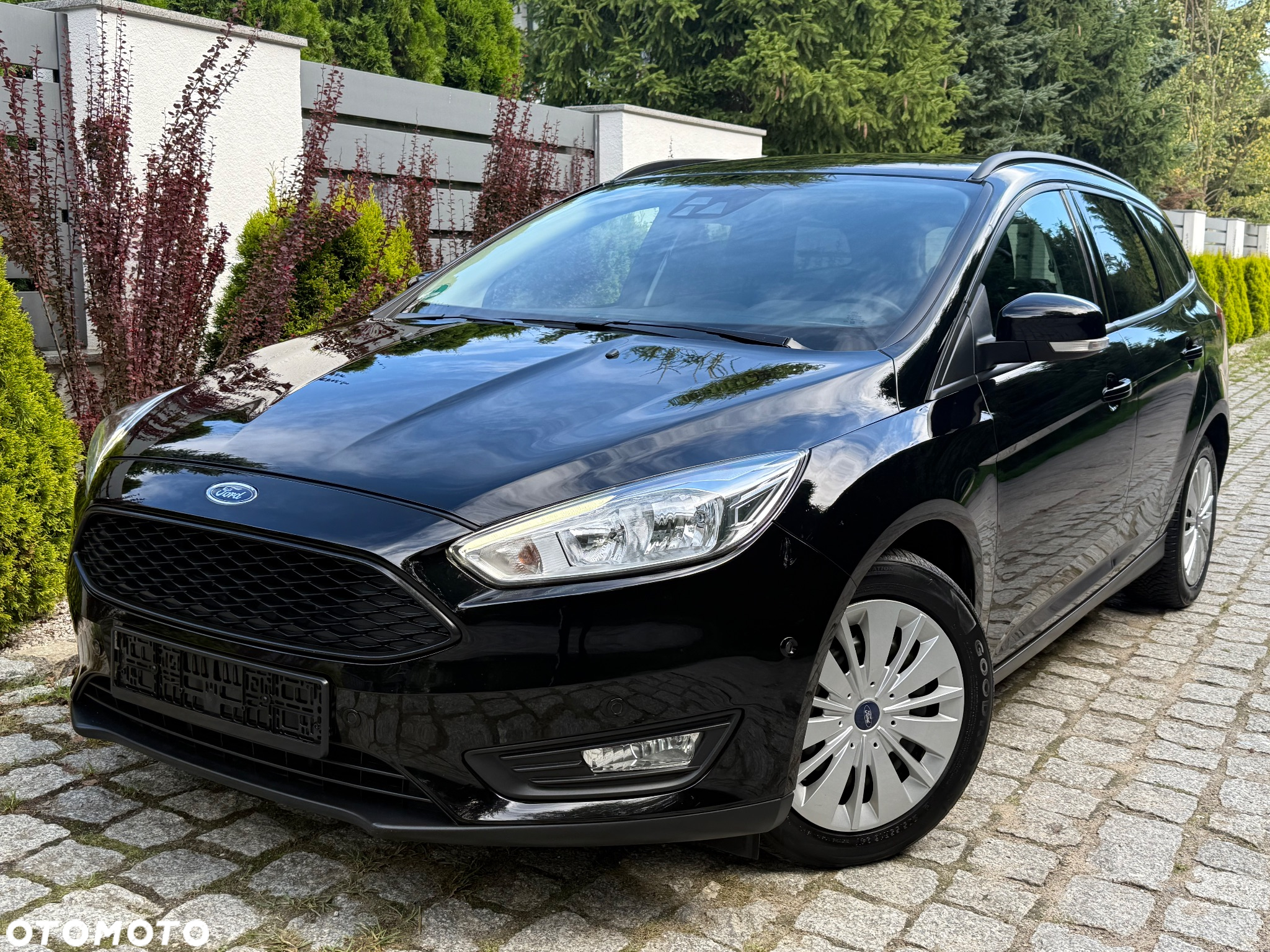 Ford Focus 1.5 EcoBlue Start-Stopp-System ST-LINE VIGNALE - 2