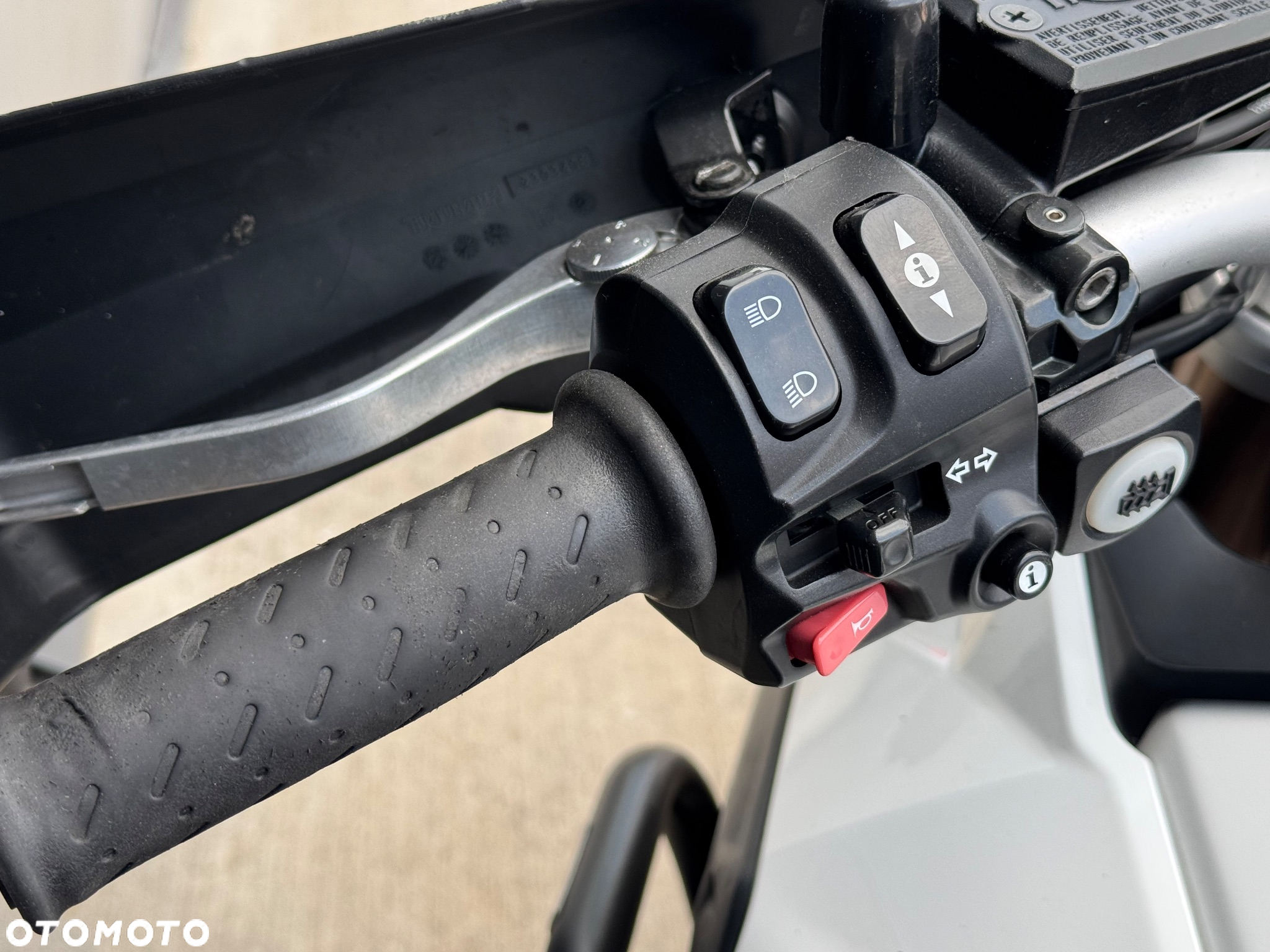 Triumph Tiger - 31