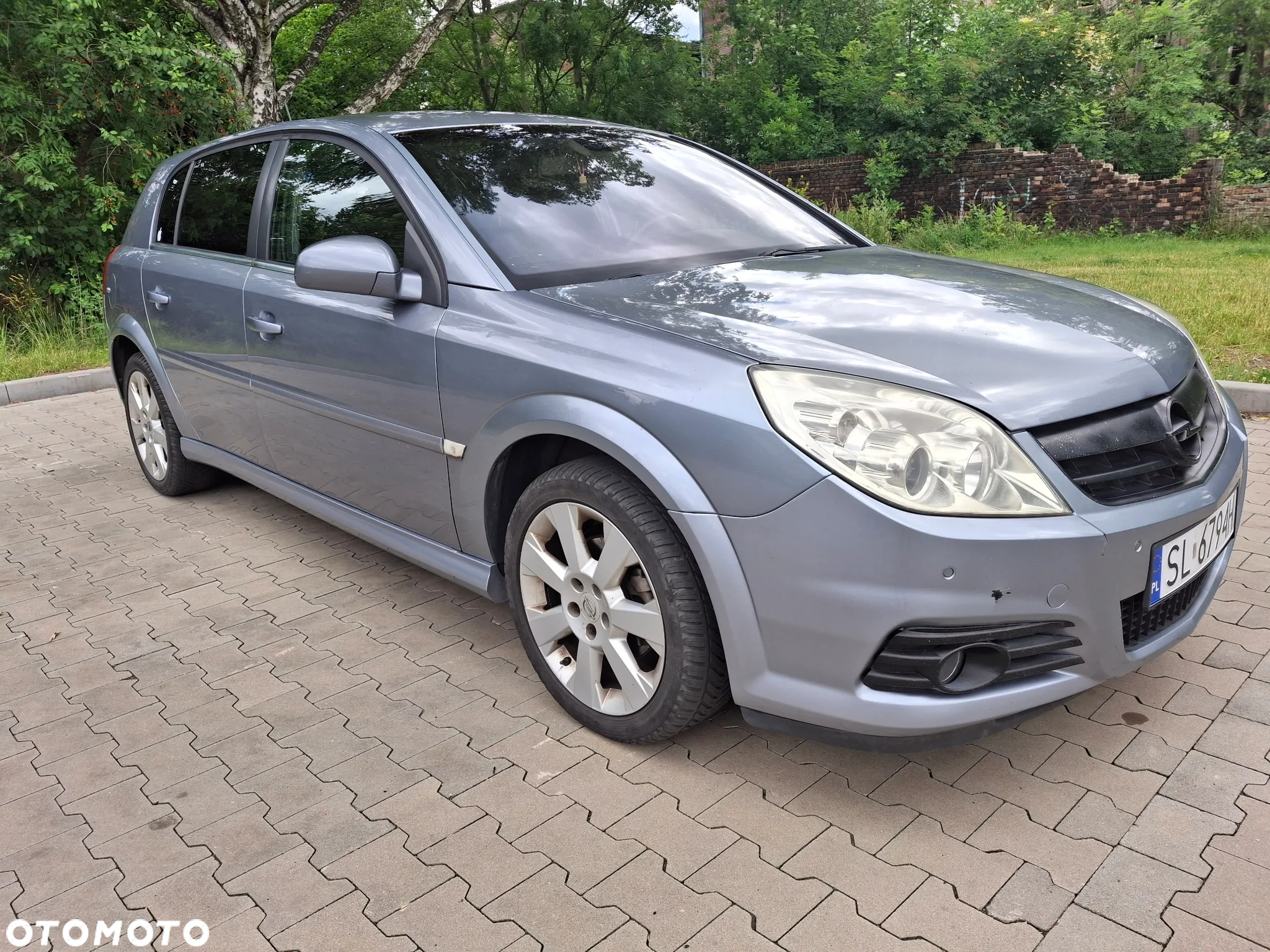 Opel Signum - 5