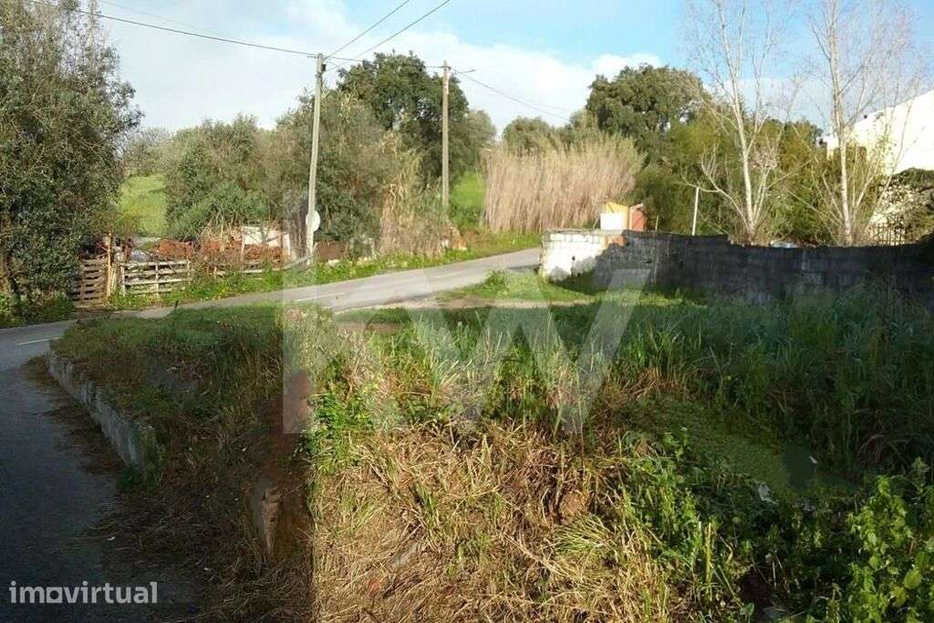 Terreno Urbano na Meia Via (Torres Novas) - Grande imagem: 5/7