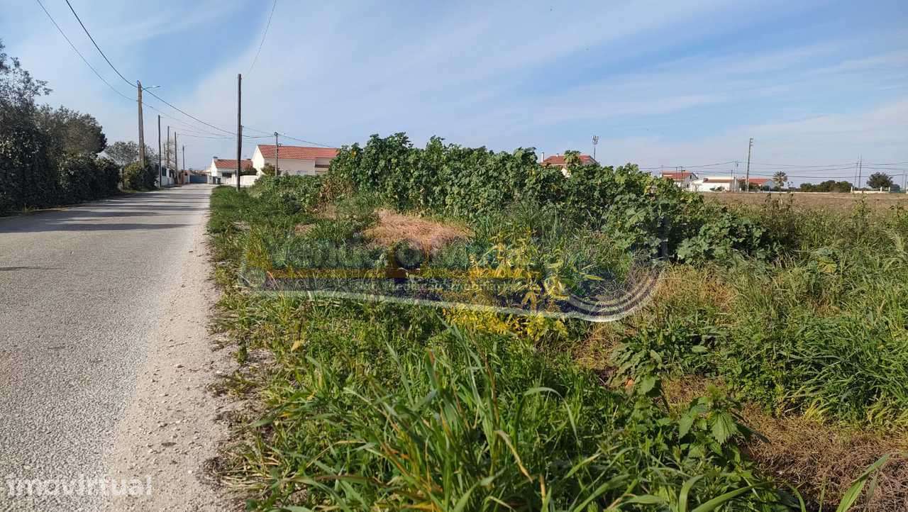 Terreno no Centro de Marinhais (M638) - Grande imagem: 5/5