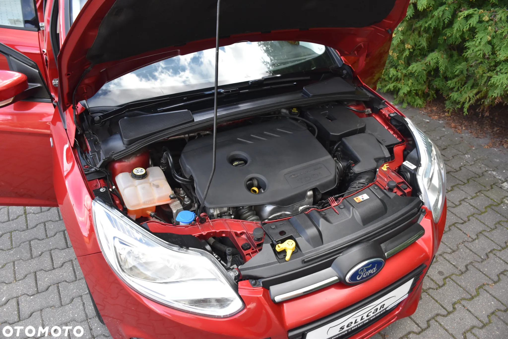 Ford Focus 1.6 TDCi DPF Start-Stopp-System Titanium - 25