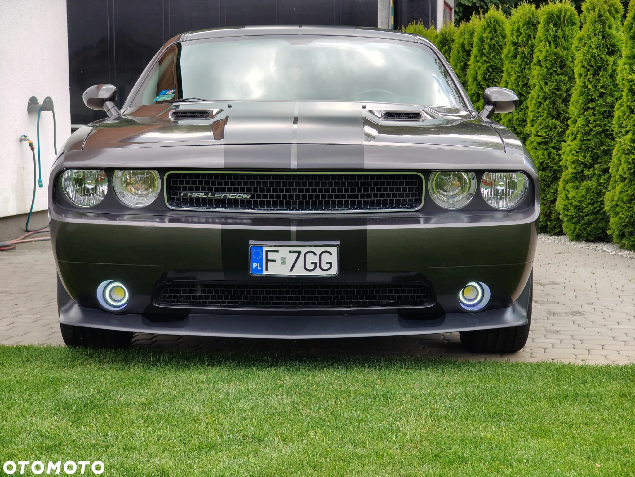 Dodge Challenger - 11