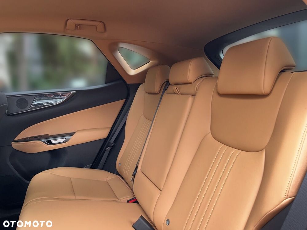 Lexus NX - 6