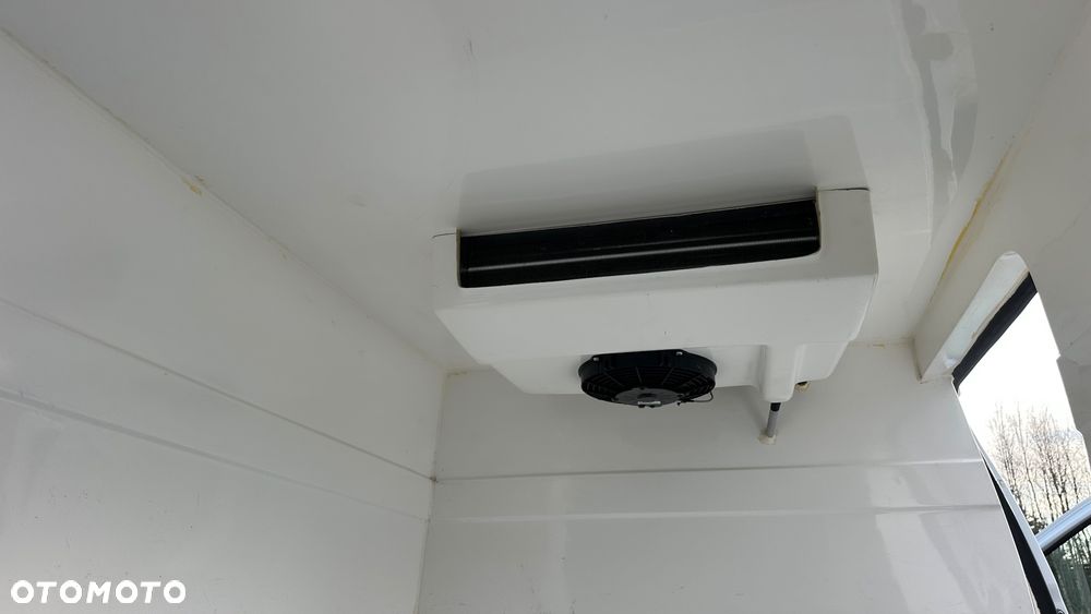 Dacia Chłodnia / Mroźnia / Salon Polska - 10