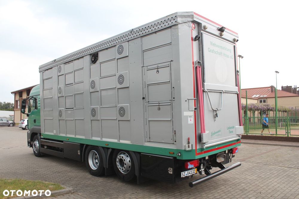MAN TGS 26.440 DO ŻYWCA ZWIERZĄT BYDŁA Z NIEMIEC - 8