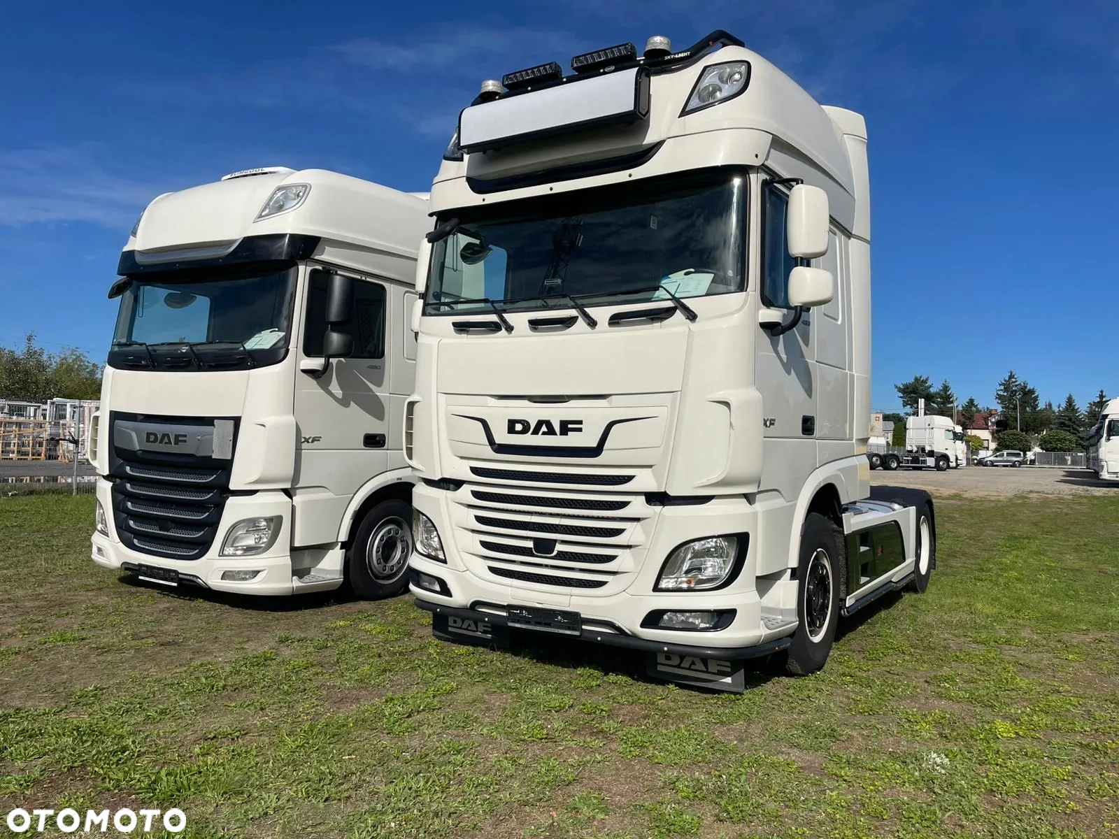 DAF - 7