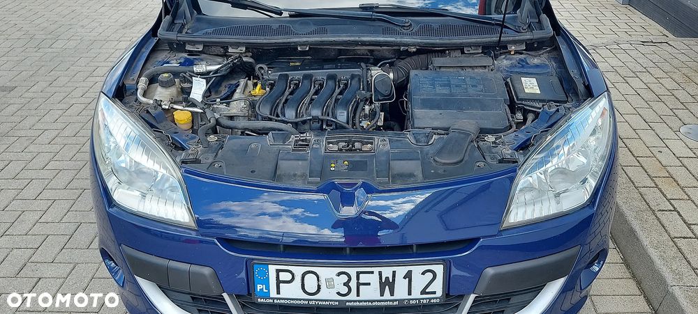 Renault Megane - 25