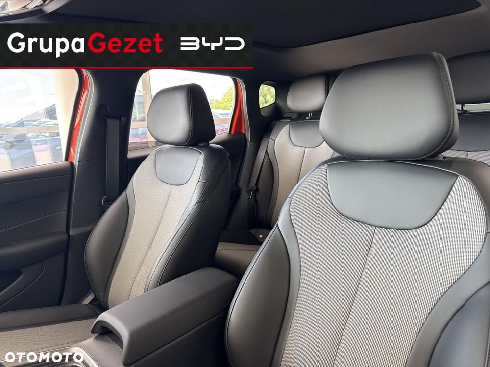 BYD Dolphin - 10