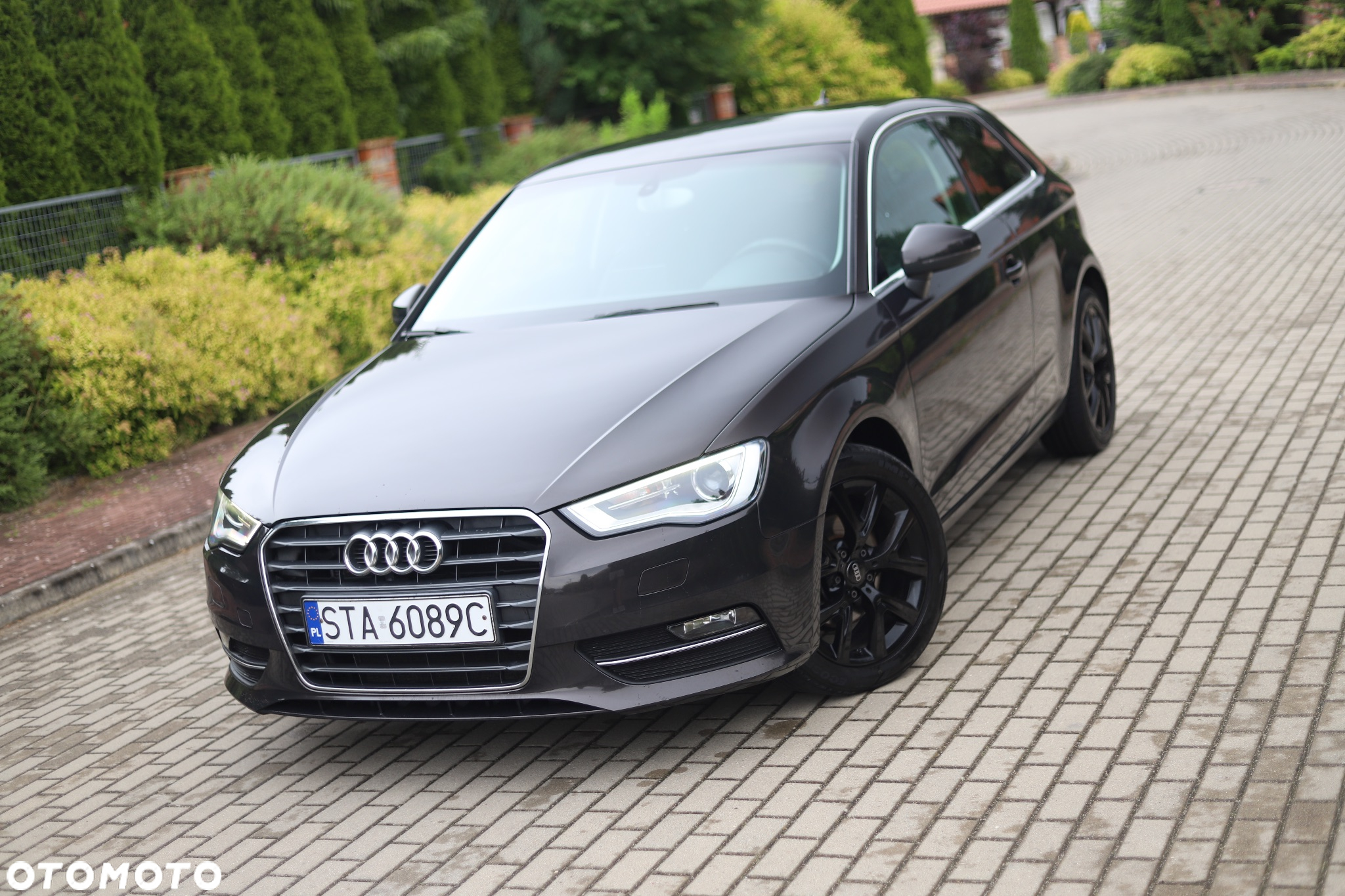 Audi A3 1.6 TDI ultra Attraction - 2