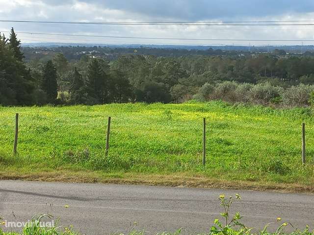Oportunidade Única: Terreno Urbanizável na Tranquilidade da Lezíria do - Grande imagem: 3/6