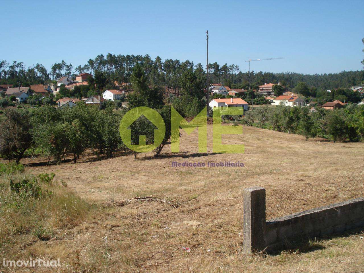 Terreno para construção, a 5 min de Caxarias - Grande imagem: 5/5
