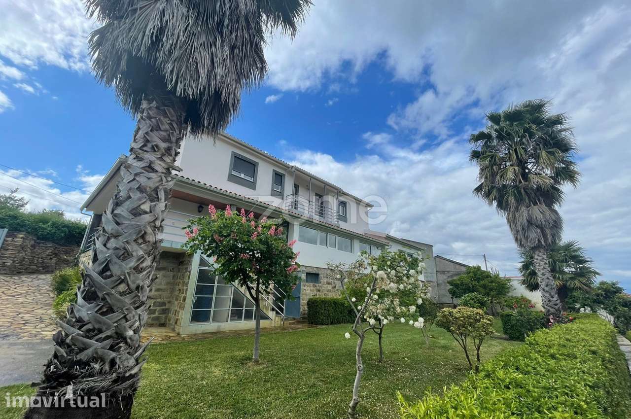 Quinta com Moradia V3 de 2 Pisos, Garagem e Olival – São Pedro, Vei... - Grande imagem: 4/30