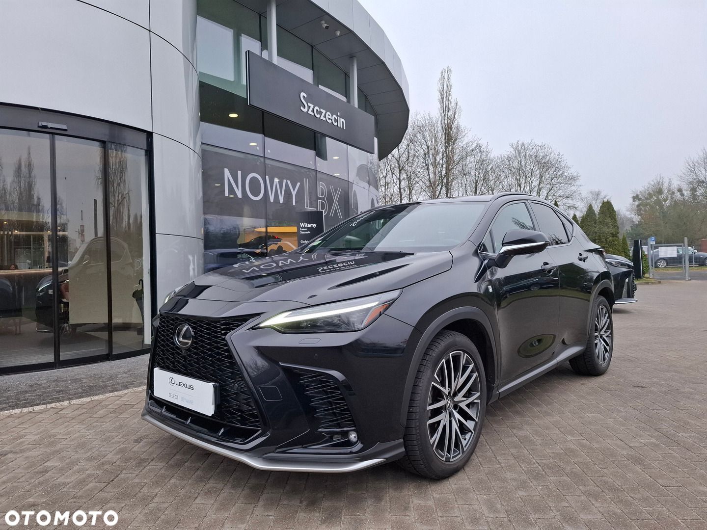 Lexus NX - 1
