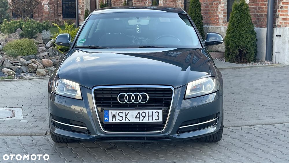 Audi A3 3-drzwiowe 1.9 TDI Attraction - 4