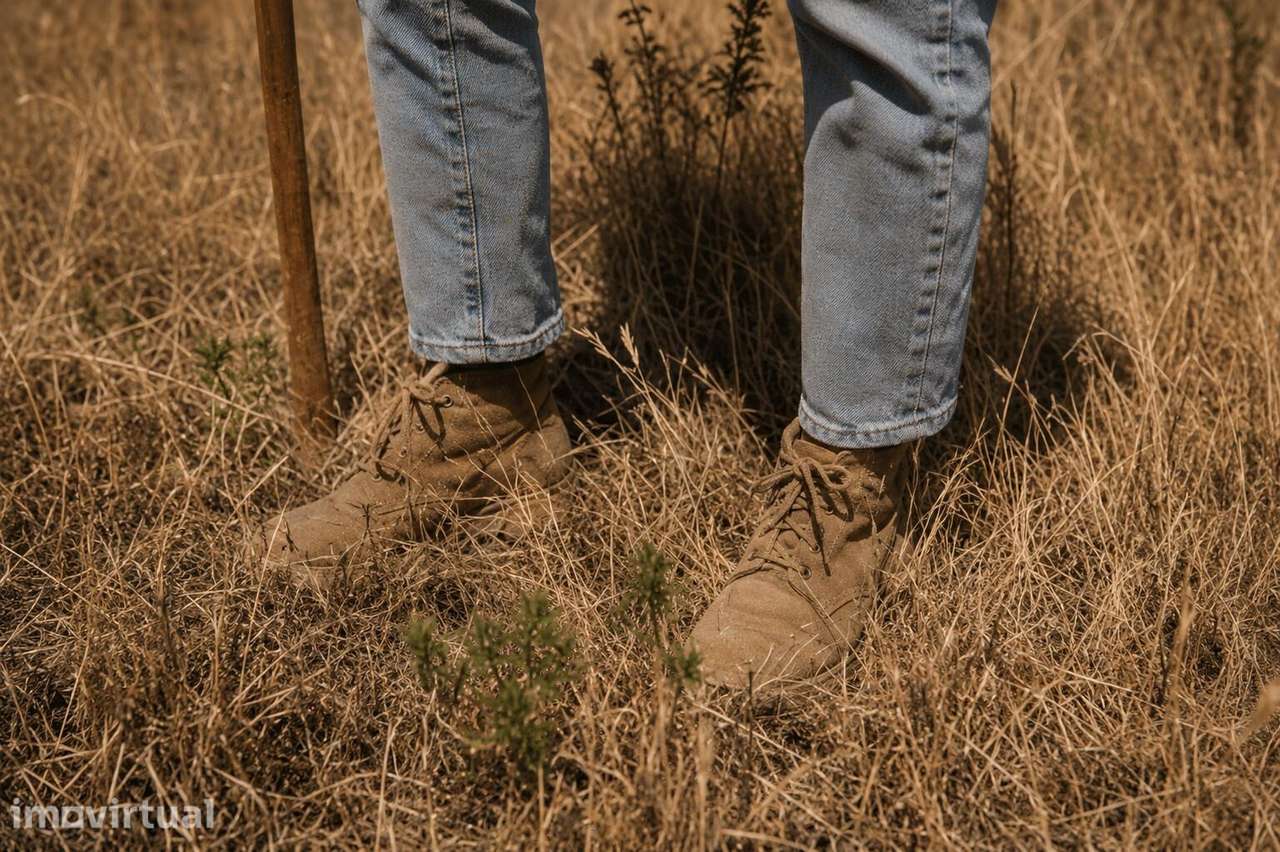 Terreno agrícola com 42.366 m2 em Silves - Grande imagem: 3/17