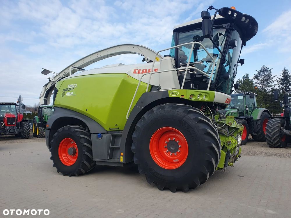 Claas Jaguar 950 - 2