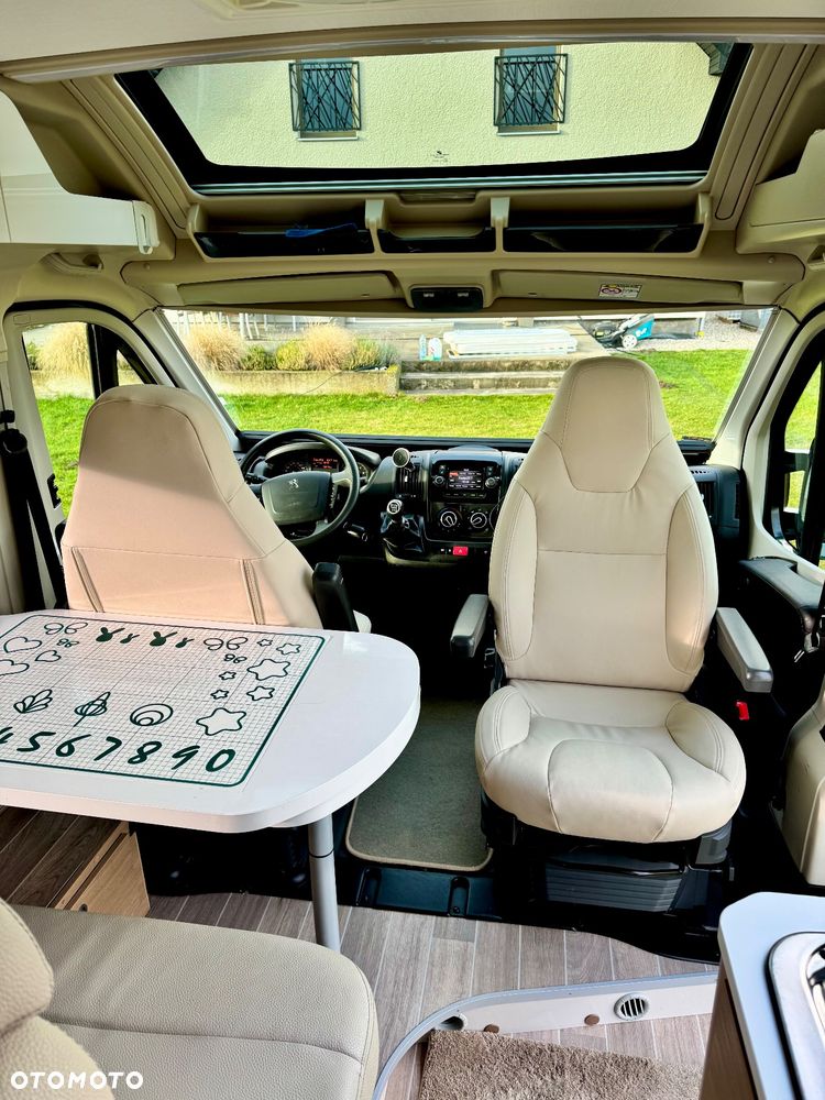 McLOUIS Prestige - 11