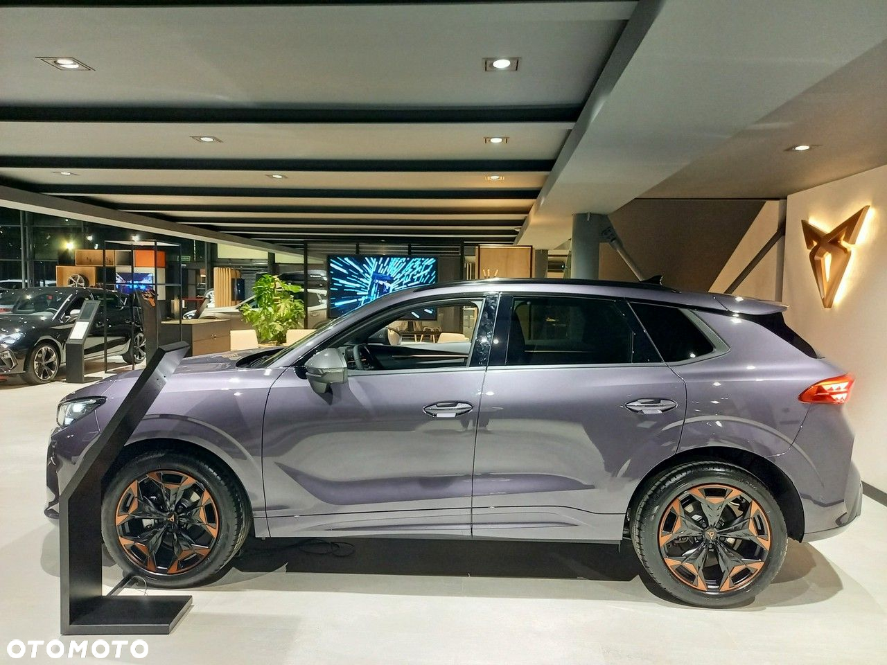 Cupra Terramar - 7