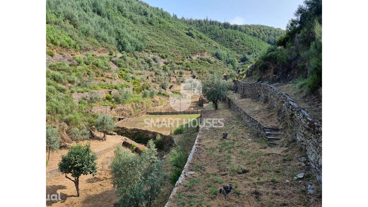 Quinta em Benfeita - Grande imagem: 2/11