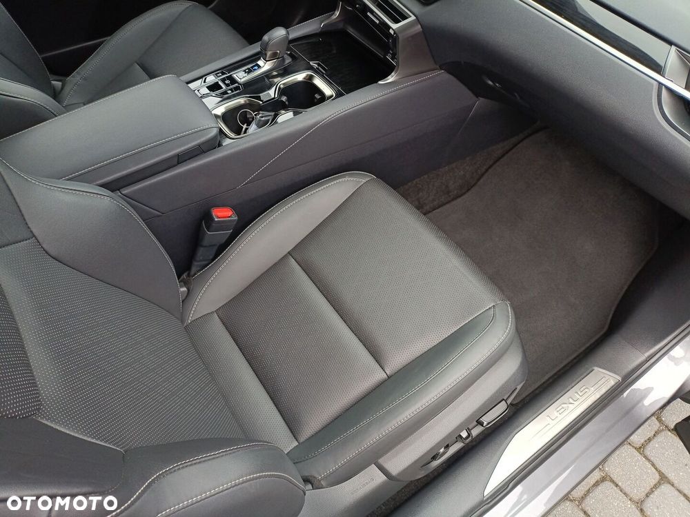 Lexus RX - 10