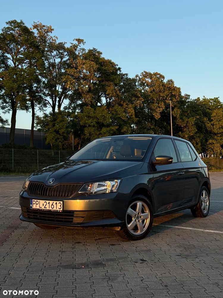 Skoda Fabia - 1